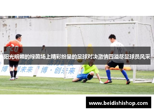 阳光明媚的绿茵场上精彩纷呈的足球对决激情四溢尽显球员风采